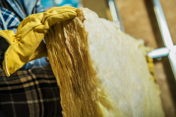 Best Affordable Insulation Services  in Bridge City, TX