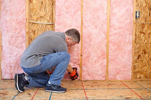 Best Spray Foam Insulation  in Bridge City, TX