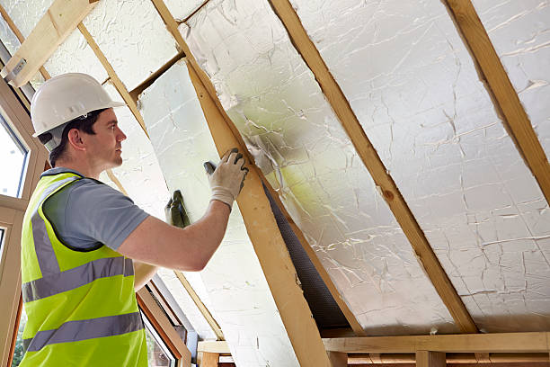 Best Affordable Insulation Services  in Bridge City, TX